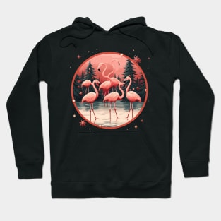 Flamingo Flock Sunset, Xmas,  Love Flamingos Hoodie